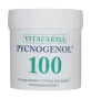 Vitafarma Pycnogenol 100