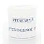 Vitafarma Pycnogenol 200